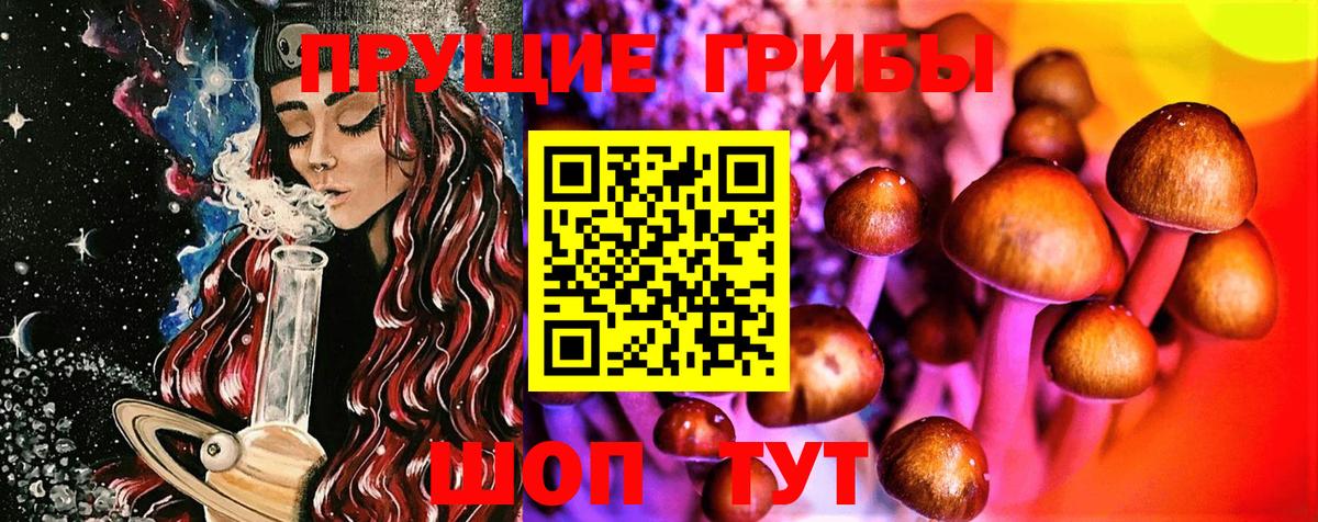 Галлюциногенные грибы прущие грибы  Галлюциногенные грибы мухоморы  Кингисепп  сколько стоит  Вход с VPN 